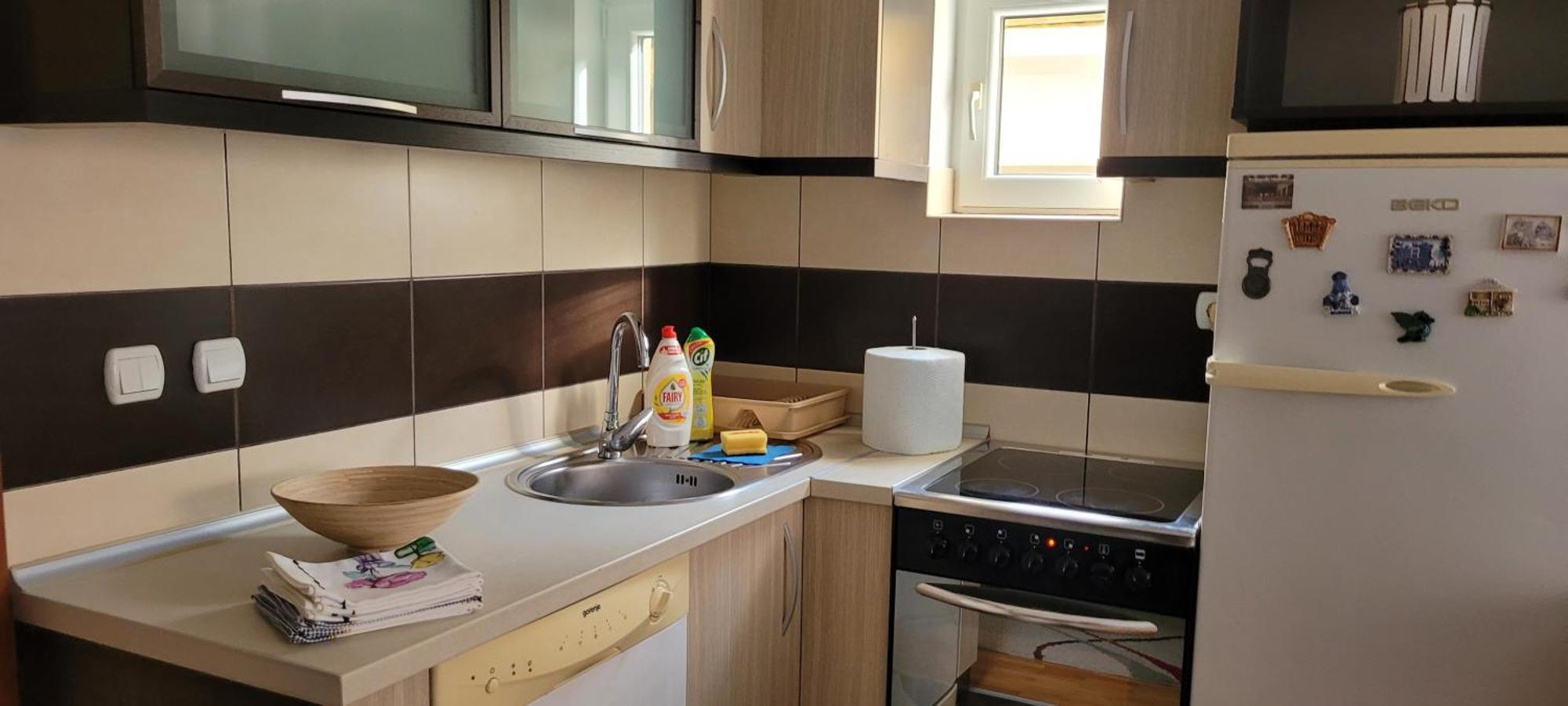 Apartman Jelena Daire Vranje Dış mekan fotoğraf